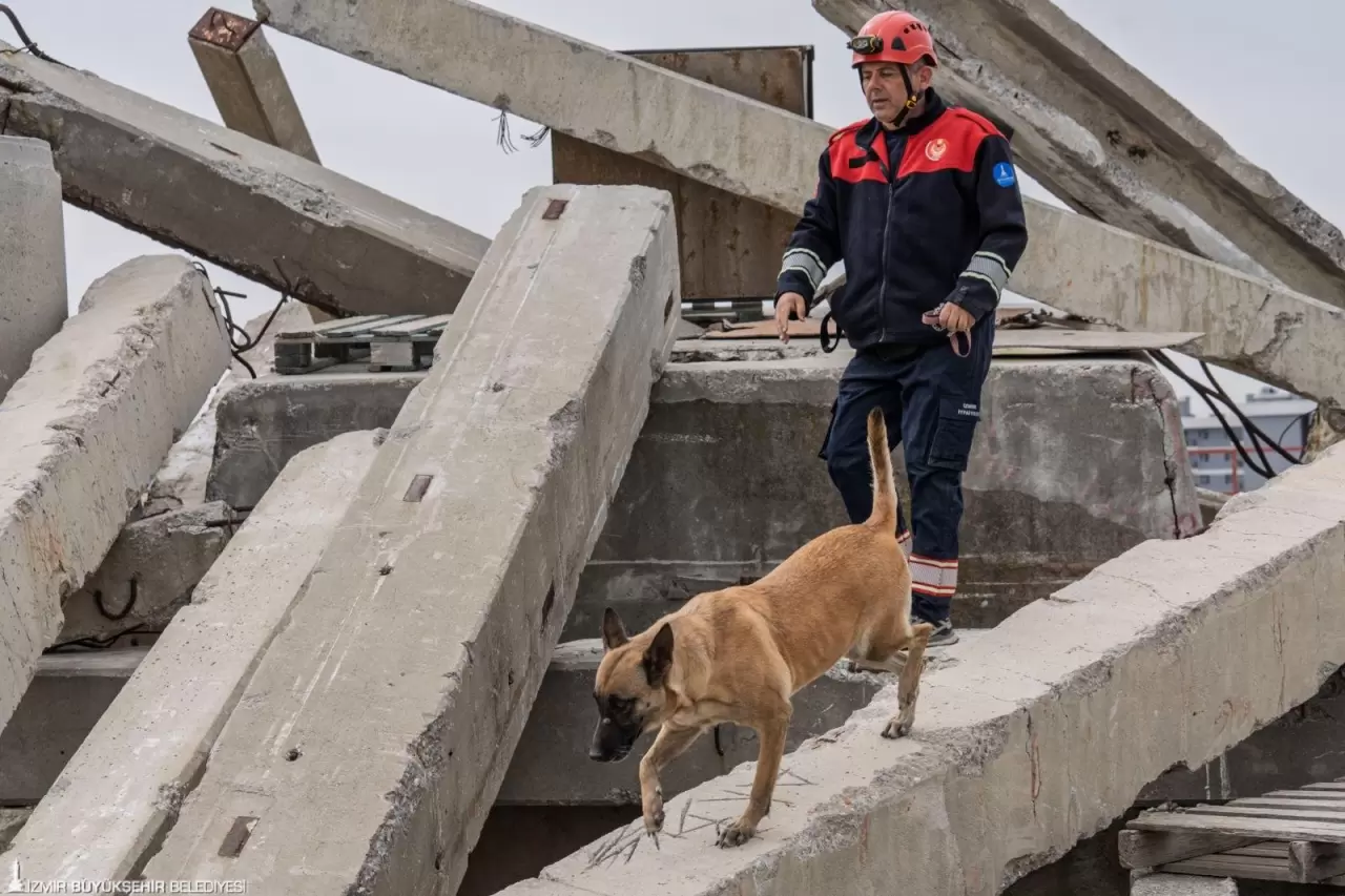 İzmir'in özel eğitimli köpekleri Asil, Bety ve Magie, deprem enkazlarında hayat kurtarıyor. Onların başarı öyküsü göreni duygulandırıyor!