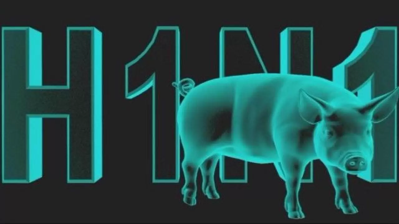 H1N1 virüsü tekrar yayılıyor. Domuz gribinin belirtileri, tedavisi ve korunma yolları için detaylı bilgilere göz atın.   