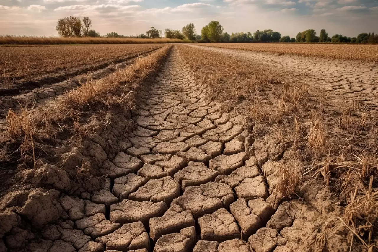 Ziraat Mühendisi Şükrü Cem Akçay, iklim değişikliğinin tarımı nasıl dönüştüreceğini ve yapay zekâ destekli teknolojilerin bu dönüşümdeki rolünü anlattı. Tarımın geleceği ne olacak?