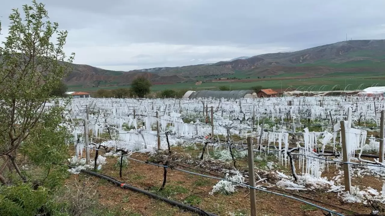Ziraat Mühendisi Şükrü Cem Akçay, iklim değişikliğinin tarımı nasıl dönüştüreceğini ve yapay zekâ destekli teknolojilerin bu dönüşümdeki rolünü anlattı. Tarımın geleceği ne olacak?
