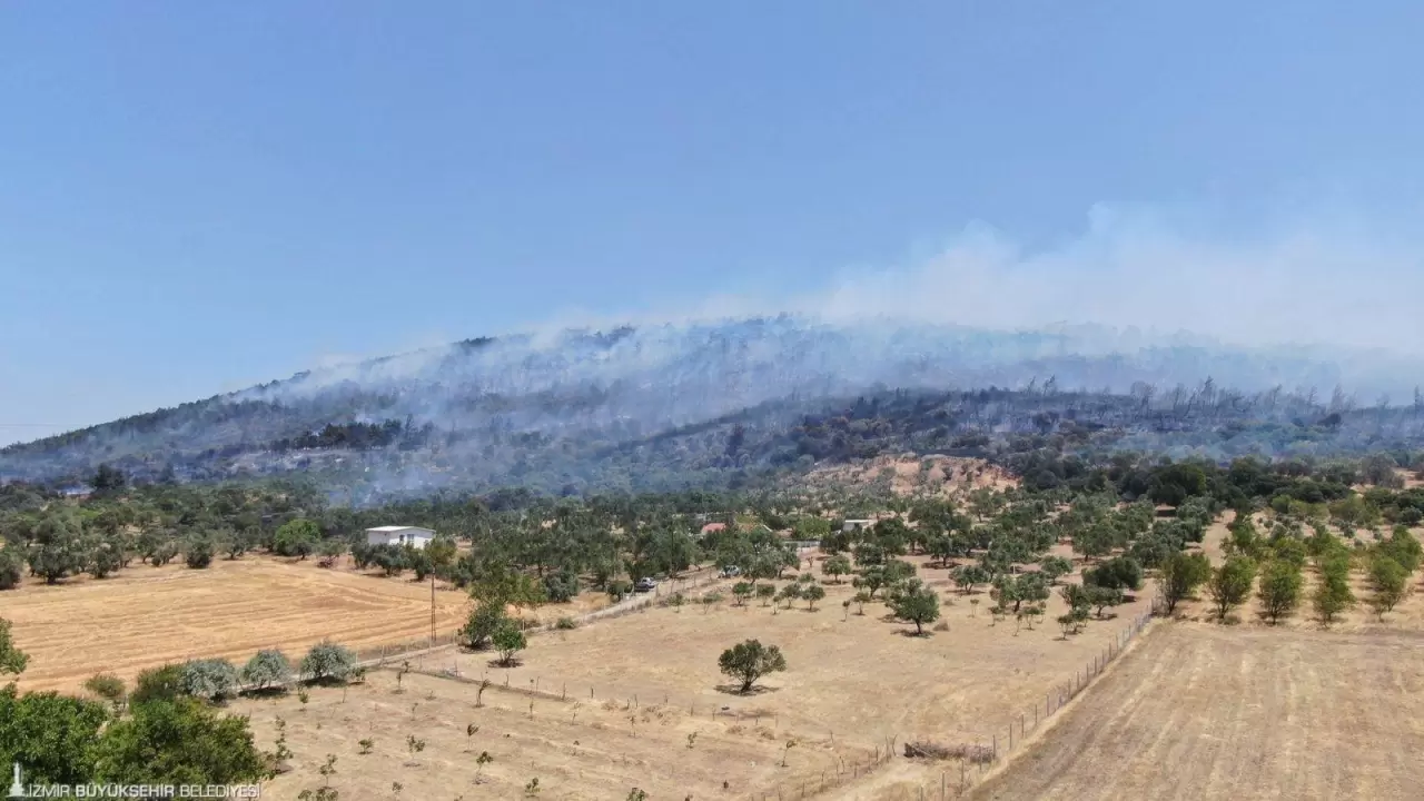 İzmir Büyükşehir Belediye Başkanı Dr. Cemil Tugay, Foça Yeniköy Mahallesi'nde öğlen saatlerinde çıkan orman yangını bölgesine giderek incelemede bulundu. Başkan Tugay, yangınların çıkmaması için yurttaşları dikkatli davranmaya çağırdı. 
