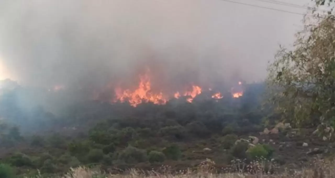 Foça'da çıkan orman yangını, rüzgarın etkisiyle hızla yayıldı. Ekipler yangını kontrol altına almak için büyük çaba harcıyor.