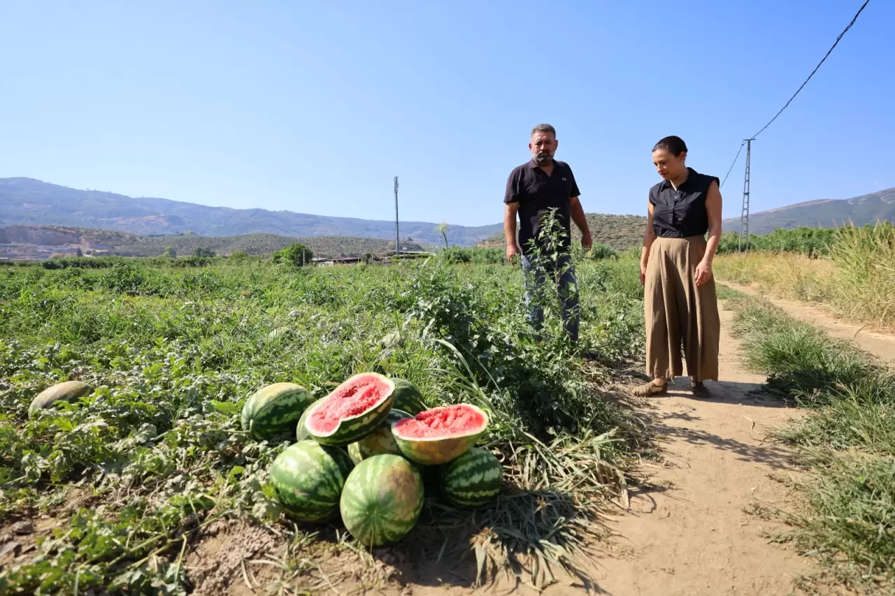 İktidarın uyguladığı tarım politikalarıyla her geçen gün üretmekten uzaklaşan çiftçi, tepkisini göstermeye devam ediyor. Mazot, gübre gibi birçok girdi maliyetleri artarken, üreticinin ürünü maliyetini dahi karşılamayınca tarlada kalıyor. 