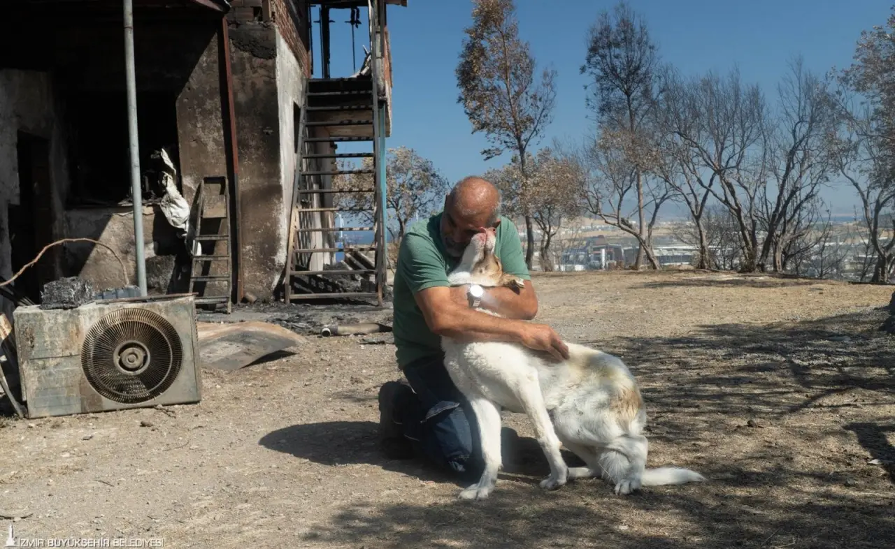 İzmir Büyükşehir Belediyesi, Aliağa Bozköy'deki yangından etkilenen sahipsiz bir köpeği hem sağlığına hem de sıcak bir yuvaya kavuşturdu. Çevre sakinlerinin Kaptan ismini verdiği köpek tedavisinin ardından sahiplendirildi.