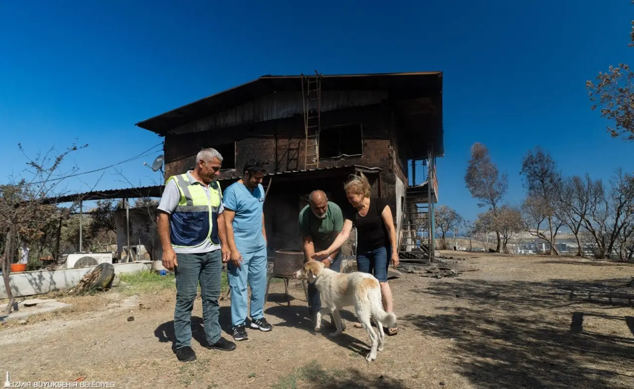 İzmir Büyükşehir Belediyesi, Aliağa Bozköy'deki yangından etkilenen sahipsiz bir köpeği hem sağlığına hem de sıcak bir yuvaya kavuşturdu. Çevre sakinlerinin Kaptan ismini verdiği köpek tedavisinin ardından sahiplendirildi.