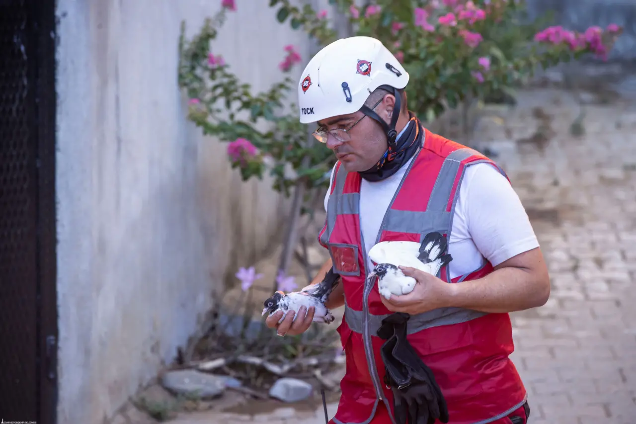 İzmir Büyükşehir Belediyesi'nin ev sahipliğinde ilçe belediyelerinin afet işleri sorumluları, İzmir’deki orman yangınları için buluştu.
