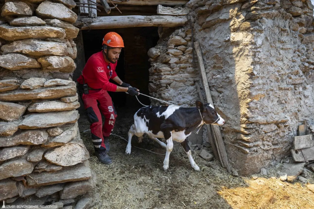 İzmir Büyükşehir Belediyesi'nin ev sahipliğinde ilçe belediyelerinin afet işleri sorumluları, İzmir’deki orman yangınları için buluştu.