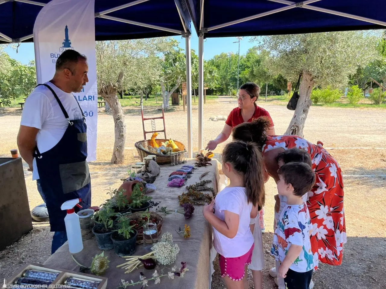 İzmir Büyükşehir Belediyesi, doğa bilincini her yaş grubuna yayma hedefiyle anaokulu öğrencilerini “Tohumdan Sofraya” etkinliğinde konuk etti. Minikler, domatesin tohumdan sofralara gelene kadar geçen sürecini uygulamalı gözlemledi.