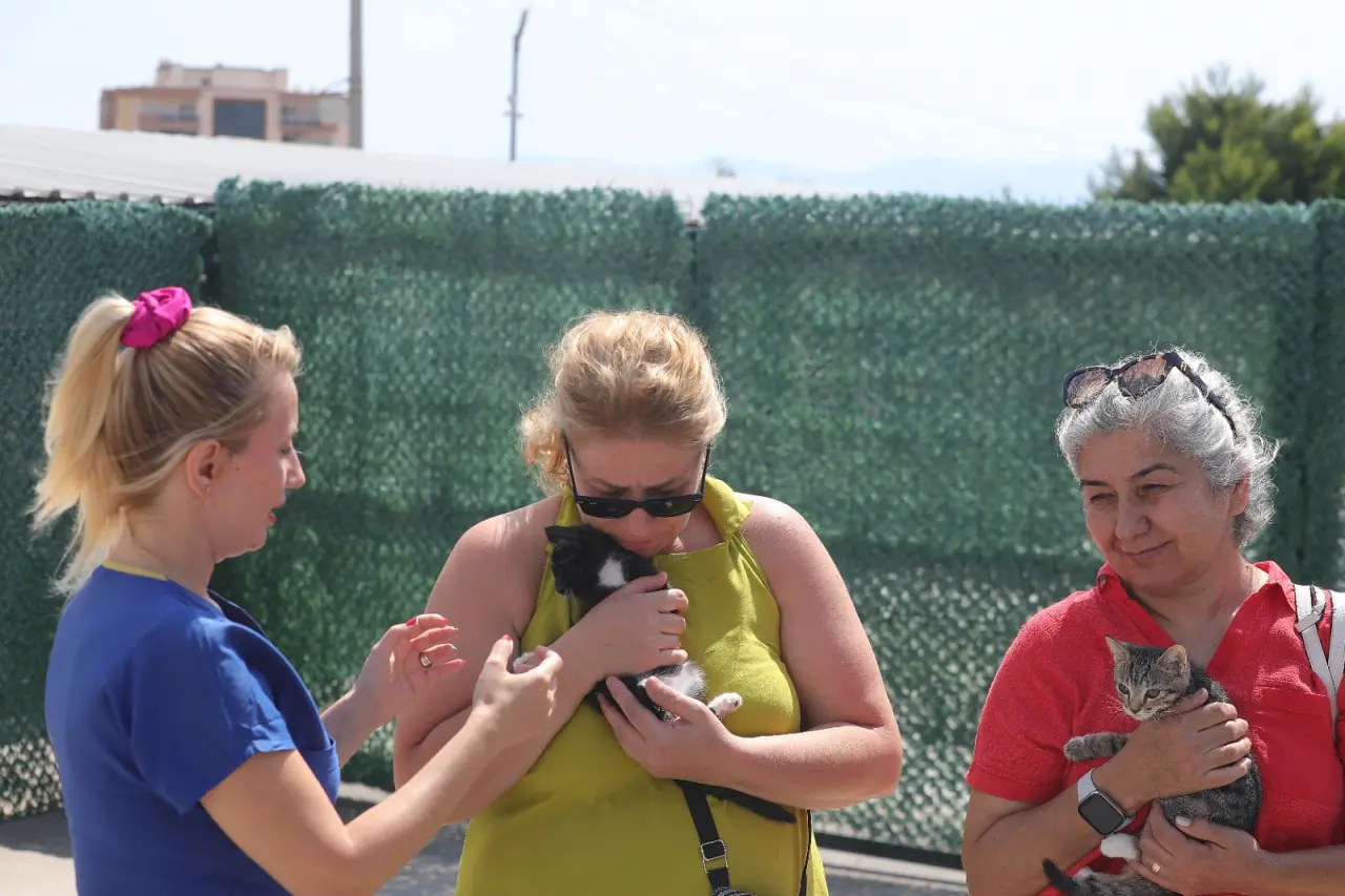 Bayraklı Belediyesi, sahipsiz sokak hayvanlarına yönelik donanımlı rehabilitasyon merkezleriyle hizmet vermeye ve can dostları sahiplendirme kampanyasına devam ediyor. Bu kapsamda, Nisan 2024'ten bu yana yaklaşık 8 bin 379 sokak hayvanı tedavi edilirken, bin 956 can dost kısırlaştırıldı ve 160 sokak hayvanı da yeni yuvalarına kavuşturuldu. Bayraklı Belediye Başkanı İrfan Önal, "Can dostların sağlıklı bir yaşam sürmesi ve yeni ailelerine kavuşmaları için çalışmalarımıza devam ediyoruz" dedi.