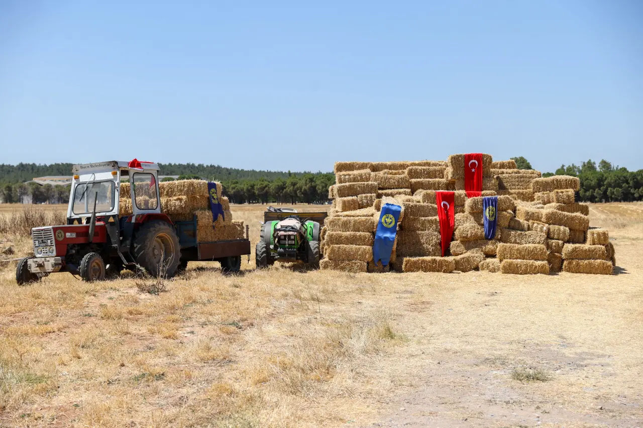 Buca Belediyesi, sosyal belediyecilik anlayışını tarım politikalarıyla birleştirerek örnek bir projeye daha imza attı.