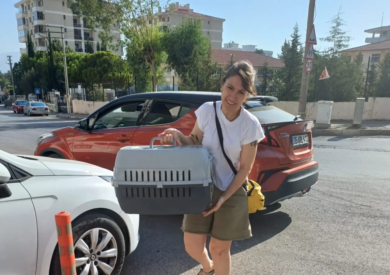 Narlıdere Belediyesi Veteriner İşleri Müdürlüğü ekipleri, sokakta yaşayan sahipsiz kedilerin sağlığını korumak ve kontrolsüz üremenin önüne geçmek için mahalle mahalle toplu kısırlaştırma işlemi gerçekleştiriyor