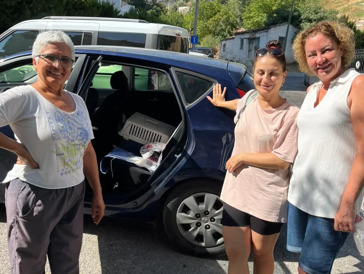 Narlıdere Belediyesi Veteriner İşleri Müdürlüğü ekipleri, sokakta yaşayan sahipsiz kedilerin sağlığını korumak ve kontrolsüz üremenin önüne geçmek için mahalle mahalle toplu kısırlaştırma işlemi gerçekleştiriyor