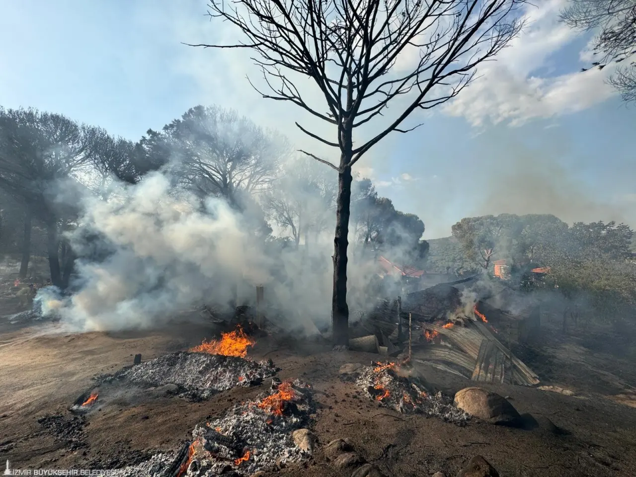 İzmir Bergama ilçesinde çıkan orman yangını, İzmir Büyükşehir Belediyesi İtfaiye Dairesi Başkanlığı ekipleri ve Orman Bölge Müdürlüğü ekipleri tarafından kontrol altına alınmaya çalışılıyor. Demircidere ve Yukarıbey mahallerini etkileyen ve bölgedeki evlere sıçrayan yangının kontrol altına alınması yoğun bir mücadele veriliyor.