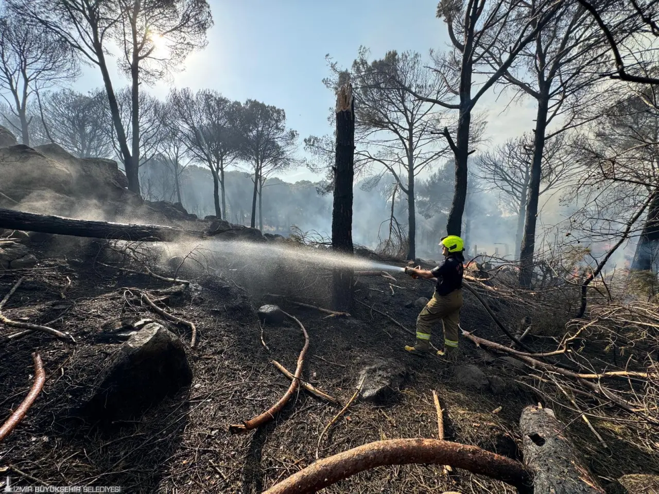 İzmir Bergama ilçesinde çıkan orman yangını, İzmir Büyükşehir Belediyesi İtfaiye Dairesi Başkanlığı ekipleri ve Orman Bölge Müdürlüğü ekipleri tarafından kontrol altına alınmaya çalışılıyor. Demircidere ve Yukarıbey mahallerini etkileyen ve bölgedeki evlere sıçrayan yangının kontrol altına alınması yoğun bir mücadele veriliyor.