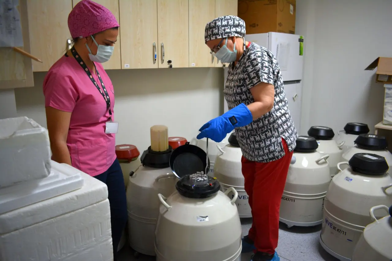 Ege Üniversitesi Tıp Fakültesi (EÜTF) Hastanesi Üremeye Yardımcı Teknikler Merkezi (Tüp Bebek Merkezi) Ünite Sorumlusu Prof. Dr. Ege Nazan Tavmergen Göker,   tüp bebek tedavisindeki yenilikçi yöntemleri anlattı. Türkiye’nin ilk tüp bebek merkezi olan Ege Üniversitesi Tıp Fakültesi Hastanesi Üremeye Yardımcı Teknikler Merkezi, Prof. Dr. Refik Çapanoğlu hocanın başkanlığında Prof. Dr. Erol Tavmergen ile Prof. Dr. Ege Nazan Tavmergen Göker öncülüğünde 1988’de kuruldu.