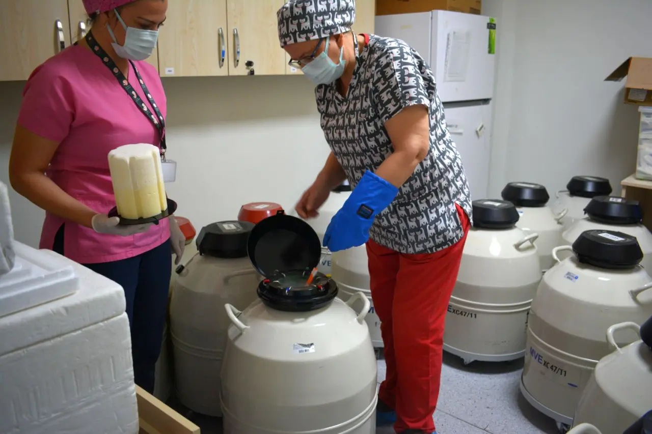 Ege Üniversitesi Tıp Fakültesi (EÜTF) Hastanesi Üremeye Yardımcı Teknikler Merkezi (Tüp Bebek Merkezi) Ünite Sorumlusu Prof. Dr. Ege Nazan Tavmergen Göker,   tüp bebek tedavisindeki yenilikçi yöntemleri anlattı. Türkiye’nin ilk tüp bebek merkezi olan Ege Üniversitesi Tıp Fakültesi Hastanesi Üremeye Yardımcı Teknikler Merkezi, Prof. Dr. Refik Çapanoğlu hocanın başkanlığında Prof. Dr. Erol Tavmergen ile Prof. Dr. Ege Nazan Tavmergen Göker öncülüğünde 1988’de kuruldu.