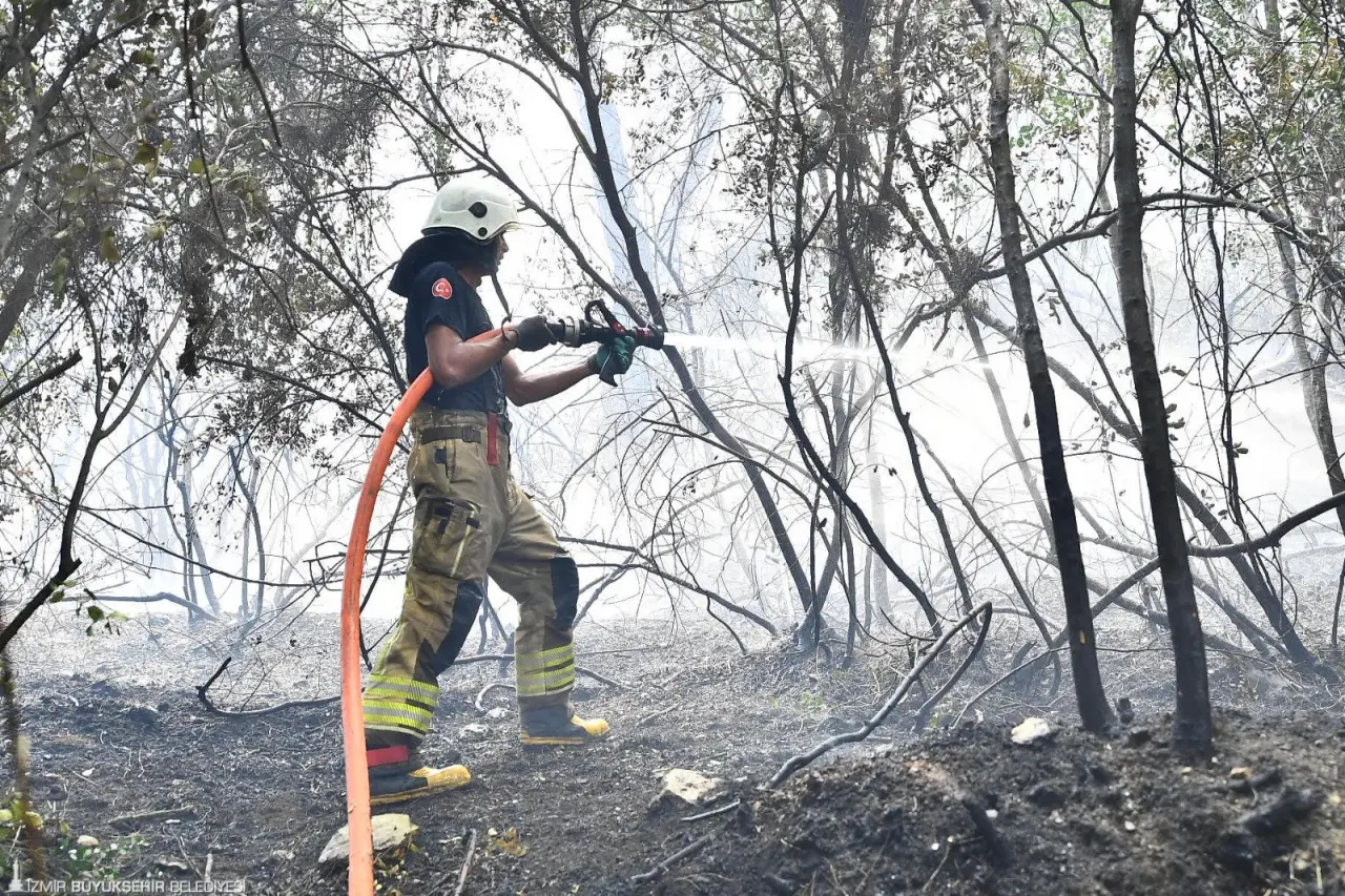 İzmir’in Menderes ilçesinde öğle saatlerinde başlayan orman yangını, rüzgârın da etkisiyle kısa sürede geniş bir alana yayıldı. Yangına İzmir Büyükşehir Belediyesi İtfaiye ekipleri ile İzmir Orman Bölge Müdürlüğü ekipleri müdahale ediyor. Alevlerle mücadeleye muhtarlar ve gönüllüler de İzmir Büyükşehir Belediyesi’nin köylere dağıttığı su tankerleriyle destek veriyor. 
