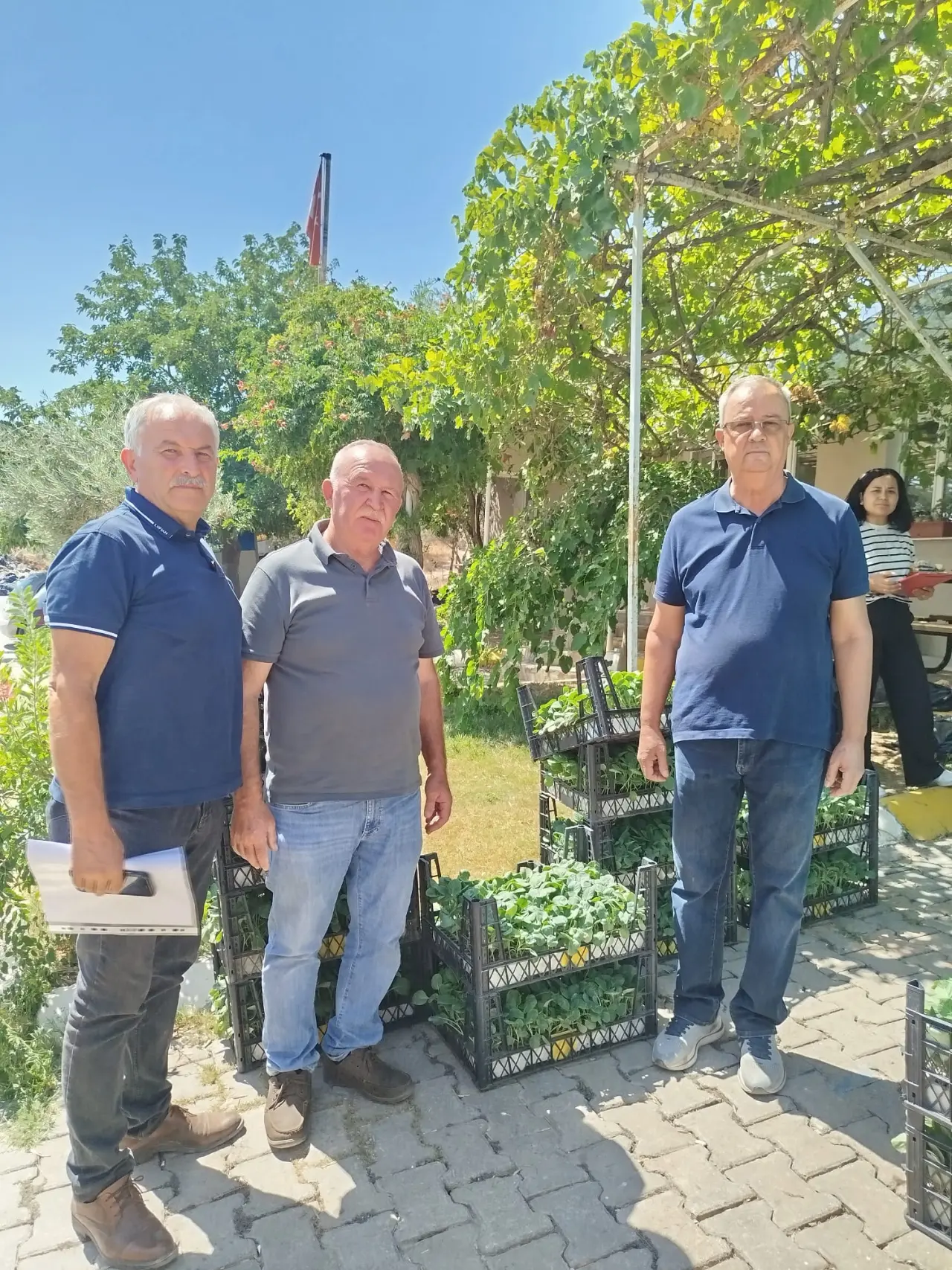 Urla Belediyesi kırsal mahallelerde üretimi güçlendirmek ve alternatif ürün desenini genişletmek amacıyla üreticilere toplam 50 bin adet kışlık sebze fidesi desteğinde bulunuyor