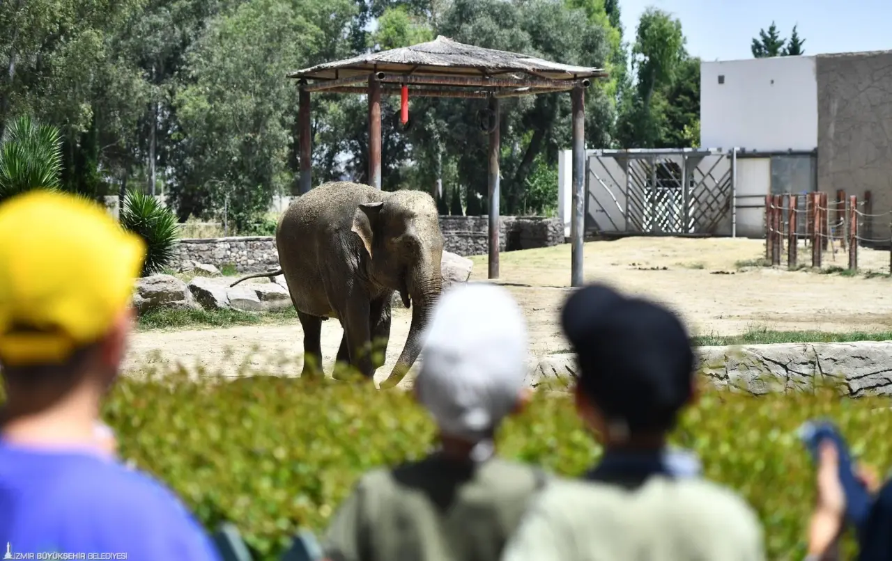 İzmir Doğal Yaşam Parkı'nda 8 Eylül Pazartesi gününden itibaren ziyaret saatleri hafta içi ve hafta sonu 09.00-17.00 olacak şekilde düzenlendi. 20 Ekim 2025’te ise kış saati uygulamasına geçilecek. Buna göre parkın kapanış saati 16.00 olacak.
